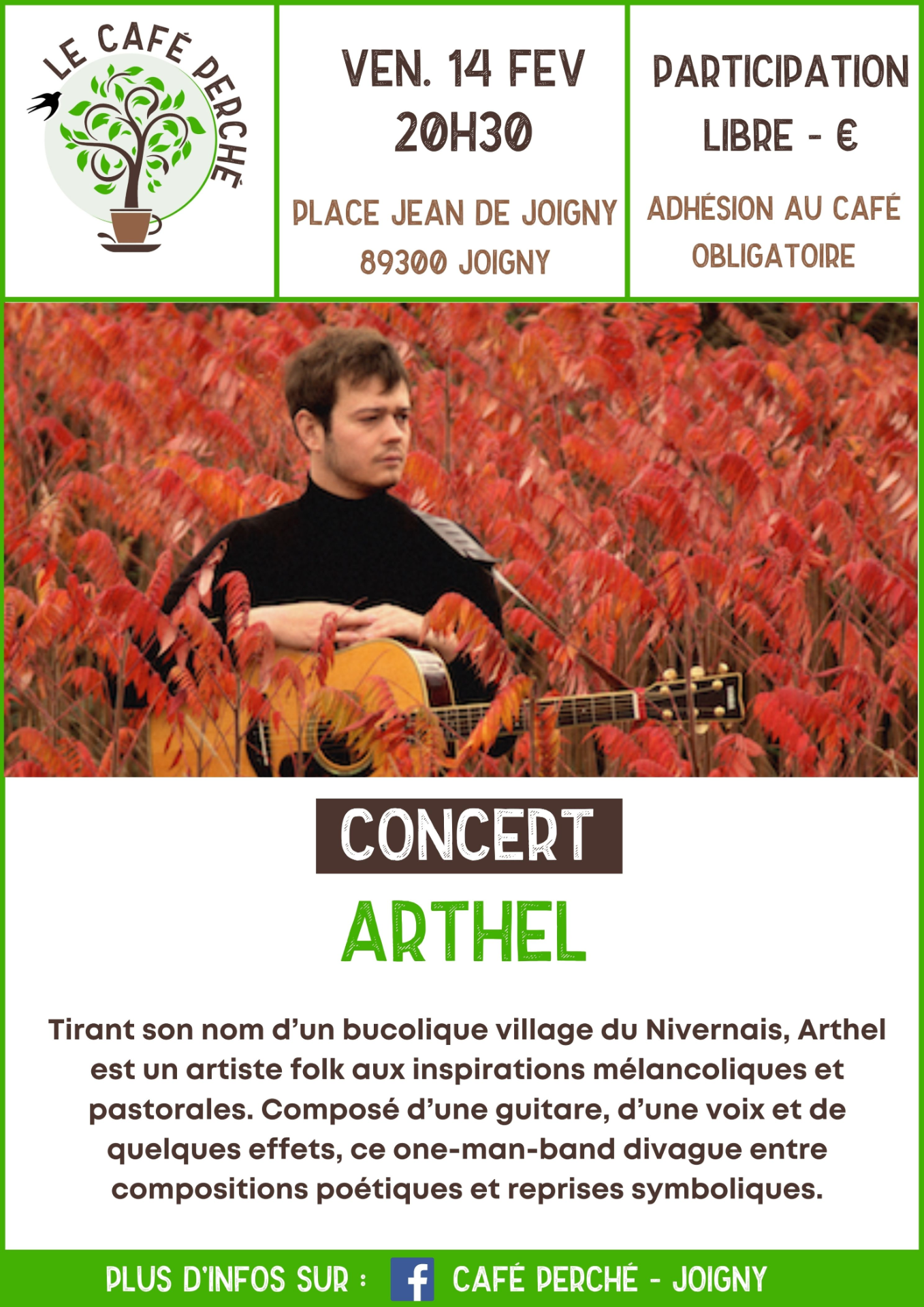 Affiche du concert