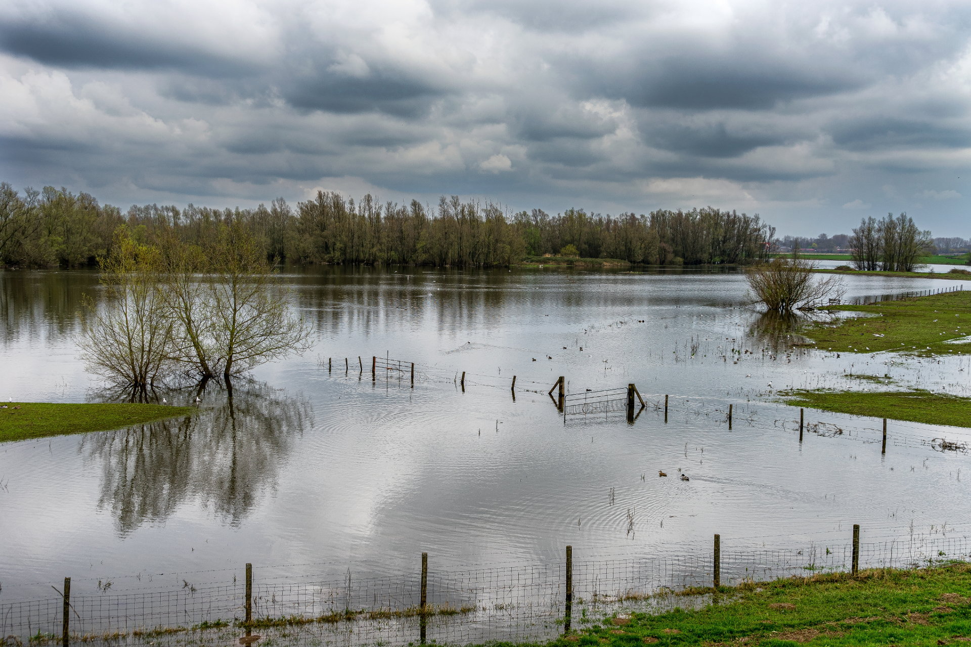 Paysage inondé